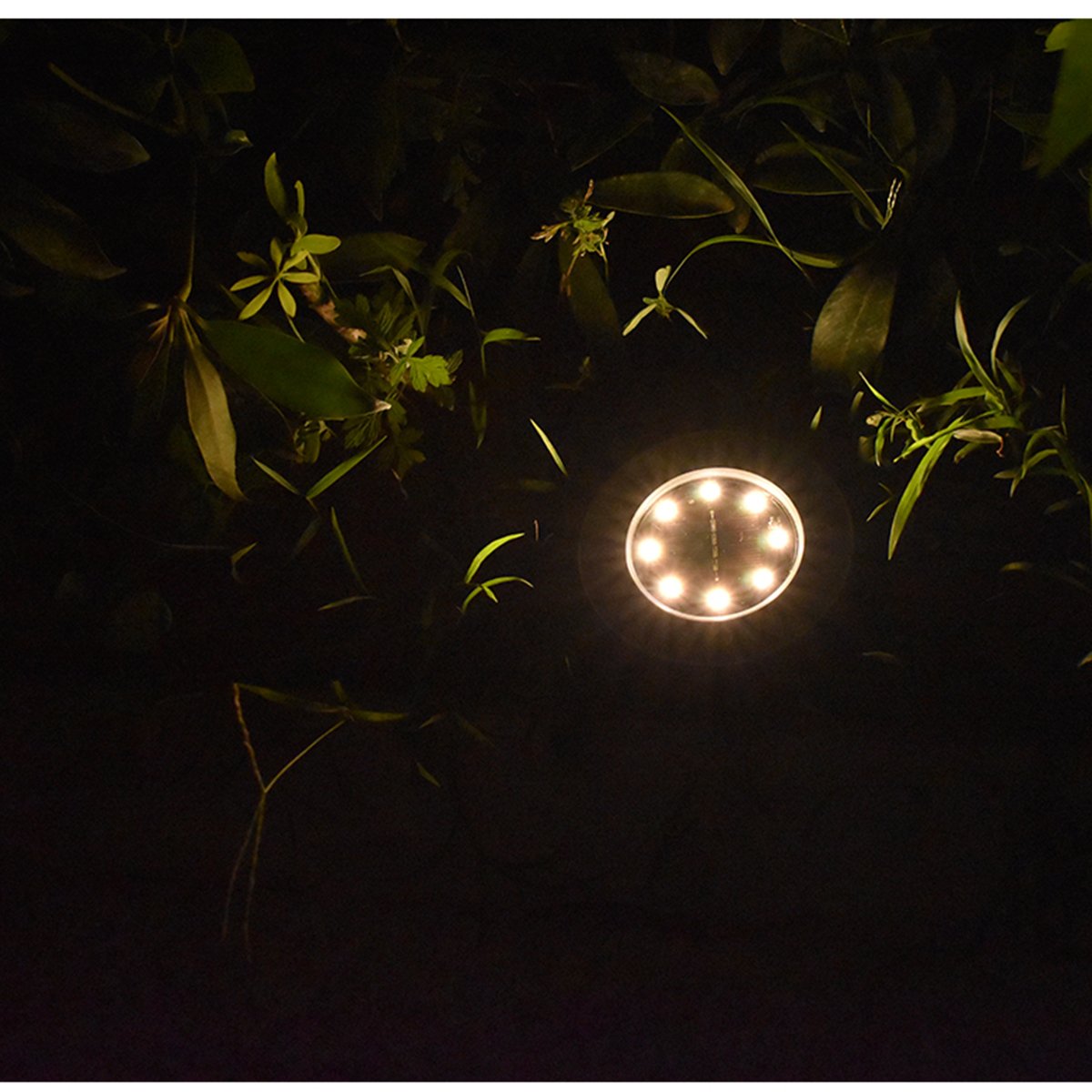 Solar Powered Buried Pathway Lights