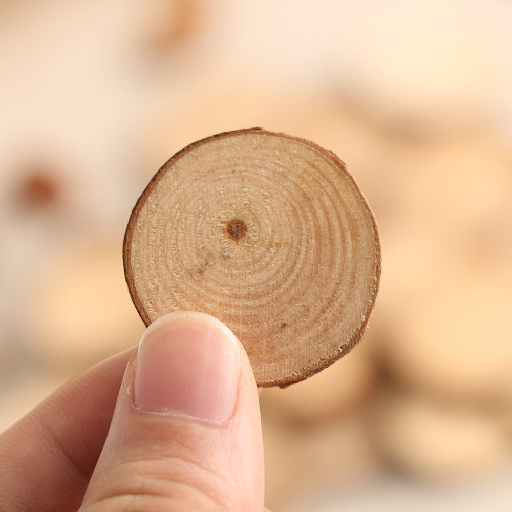 50Pcs Set of 2 4CM Wood Log Slices Discs for DIY