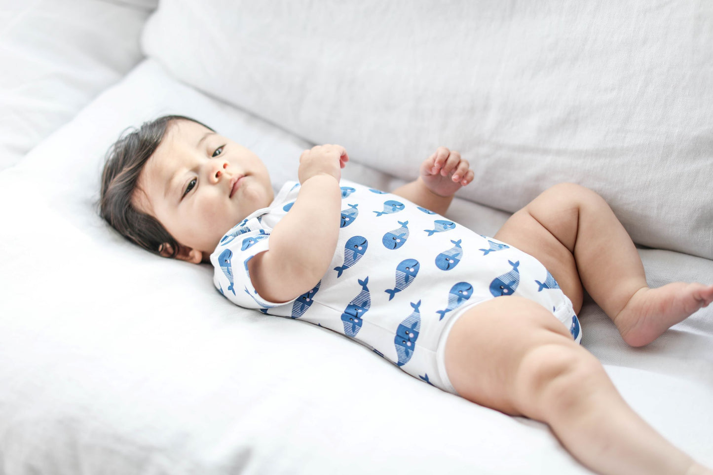 Baby Boys Smart Short Sleeve Bodysuit & Bib - Blue Whale Gift Set
