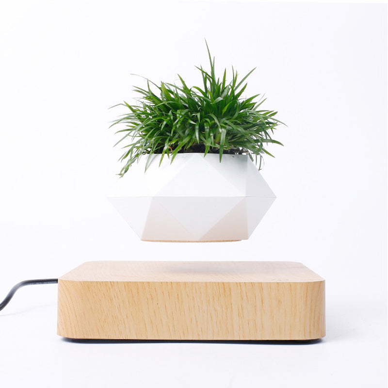 Magnetic Rotation Levitating Flower Pot