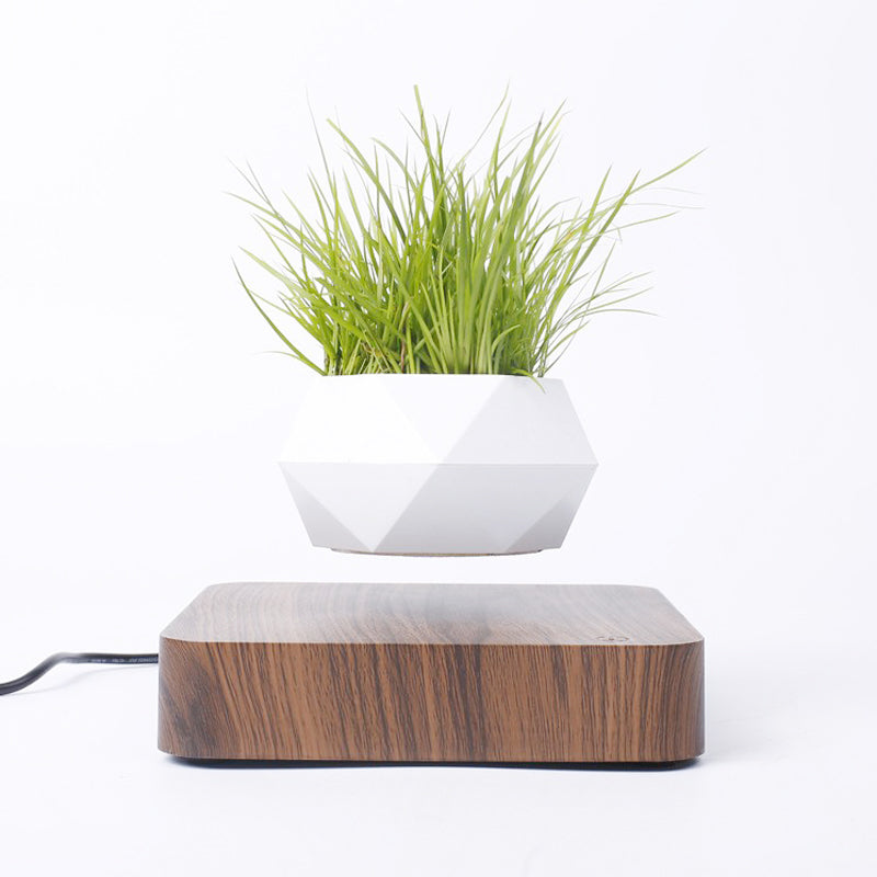 Magnetic Rotation Levitating Flower Pot